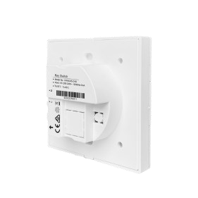Wall Switch HWSC05(VB)