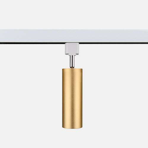 A01 Pole