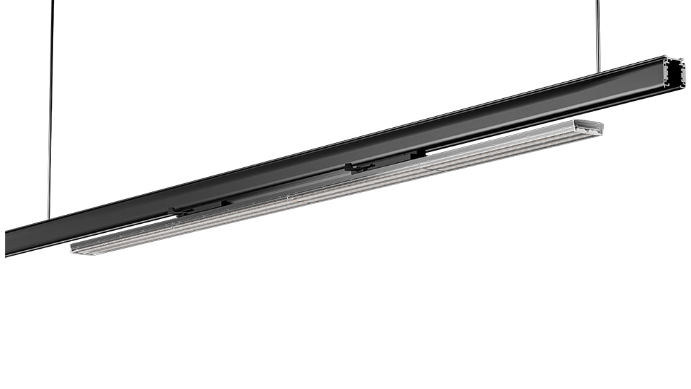 Linear Light Single
