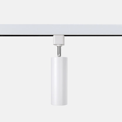 A01 Pole